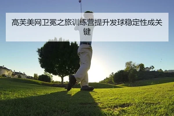 gao-fu-mei-wang-wei-mian-zhi-lv-xun-lian-ying-ti-sheng-fa-qiu-wen-ding-xing-cheng-guan-jian-2-397.jpg