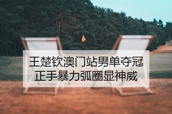 王楚钦澳门站男单夺冠 正手暴力弧圈显神威